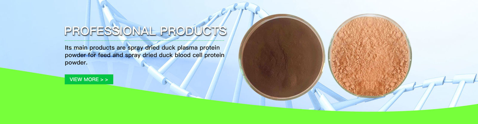Pulverize - a proteína secada do plasma