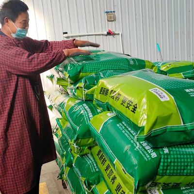 A alimentação da proteína dos rebanhos animais pulveriza - a refeição de sangue secada da proteína do plasma para aves domésticas