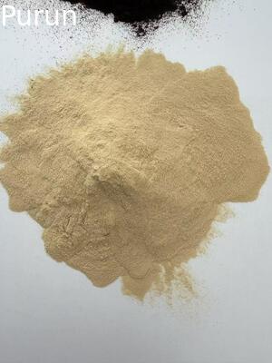 AMOSTRAS DE PLASMA LIOFILIZADO PARA CLIENTES EM TODO O MUNDO