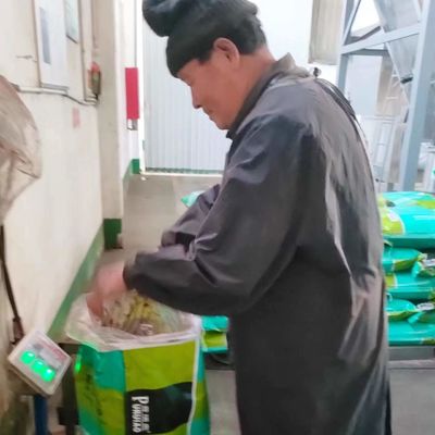 pó de refeição saudável do sangue dos aditivos de alimento para cães da alimentação das aves domésticas 30kg